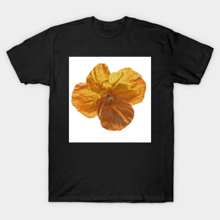 Poppy flower head. T-Shirt